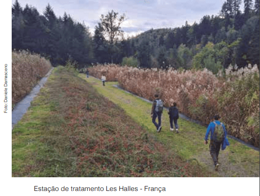 Tecnologia Wetlands: Uma solução natural para o tratamento de água e esgoto